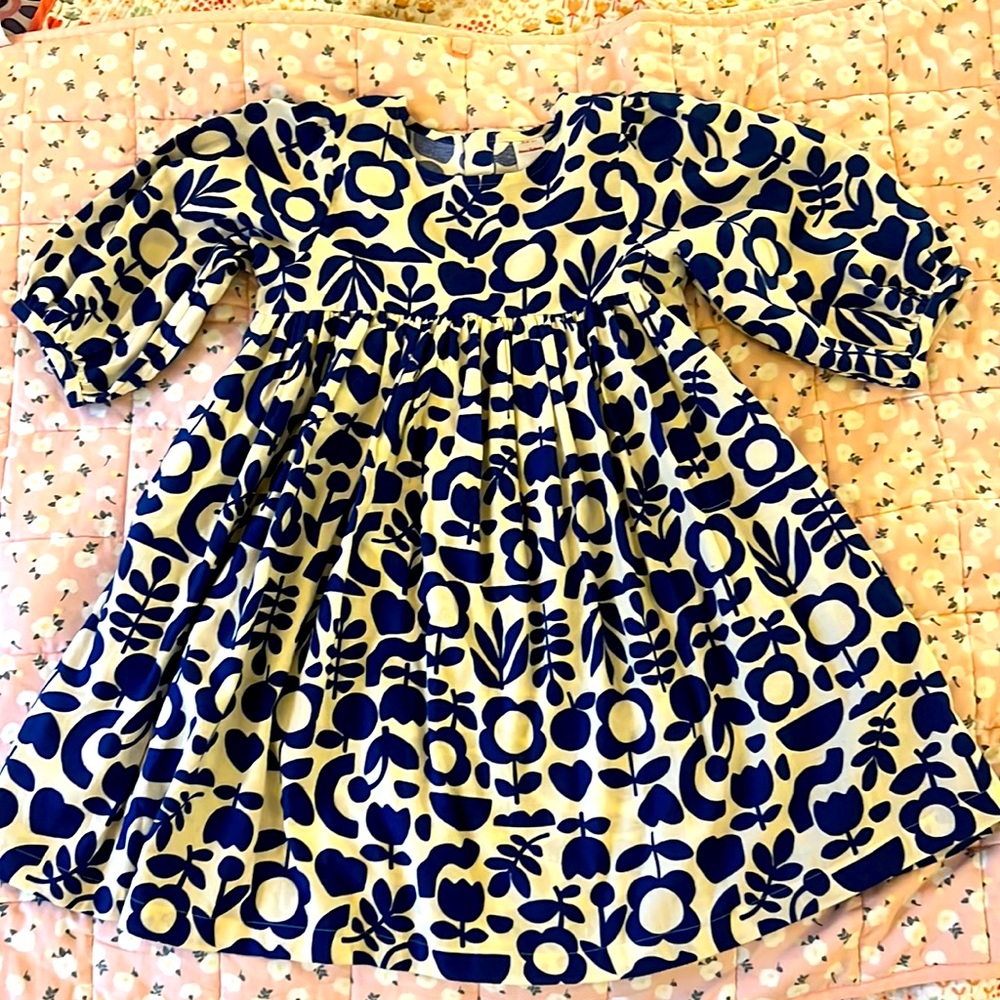 Hanna Andersson blue floral print dress